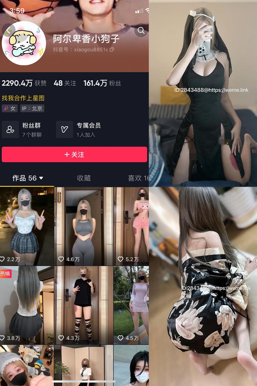 图片[1]-抖音 阿尔卑香小狗子 微密圈  NO.014期 【54P2V】-微密空间-全网最全抖音网红铁粉空间写真